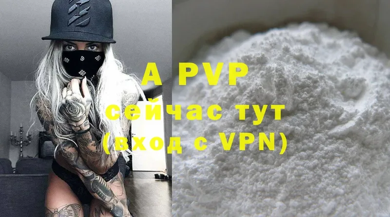 A PVP СК  Бабушкин 